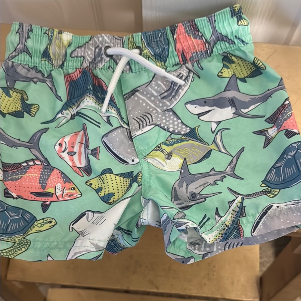 Carter's Kids Swim Trunks with Shark and Fish Print - Green and Multicolor